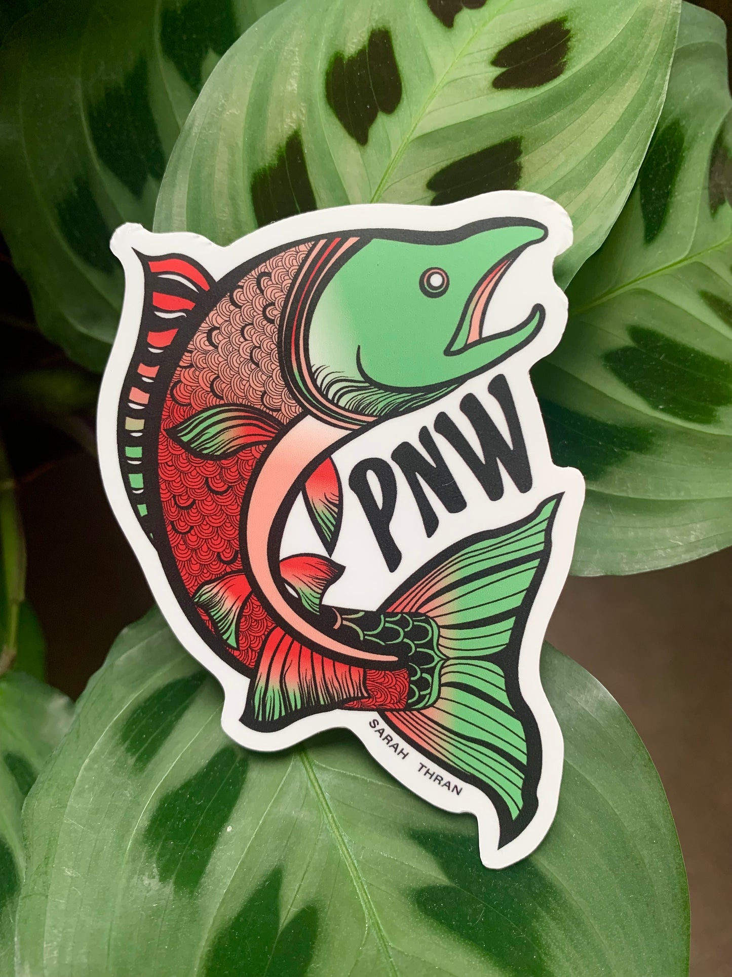 Salmon Sticker