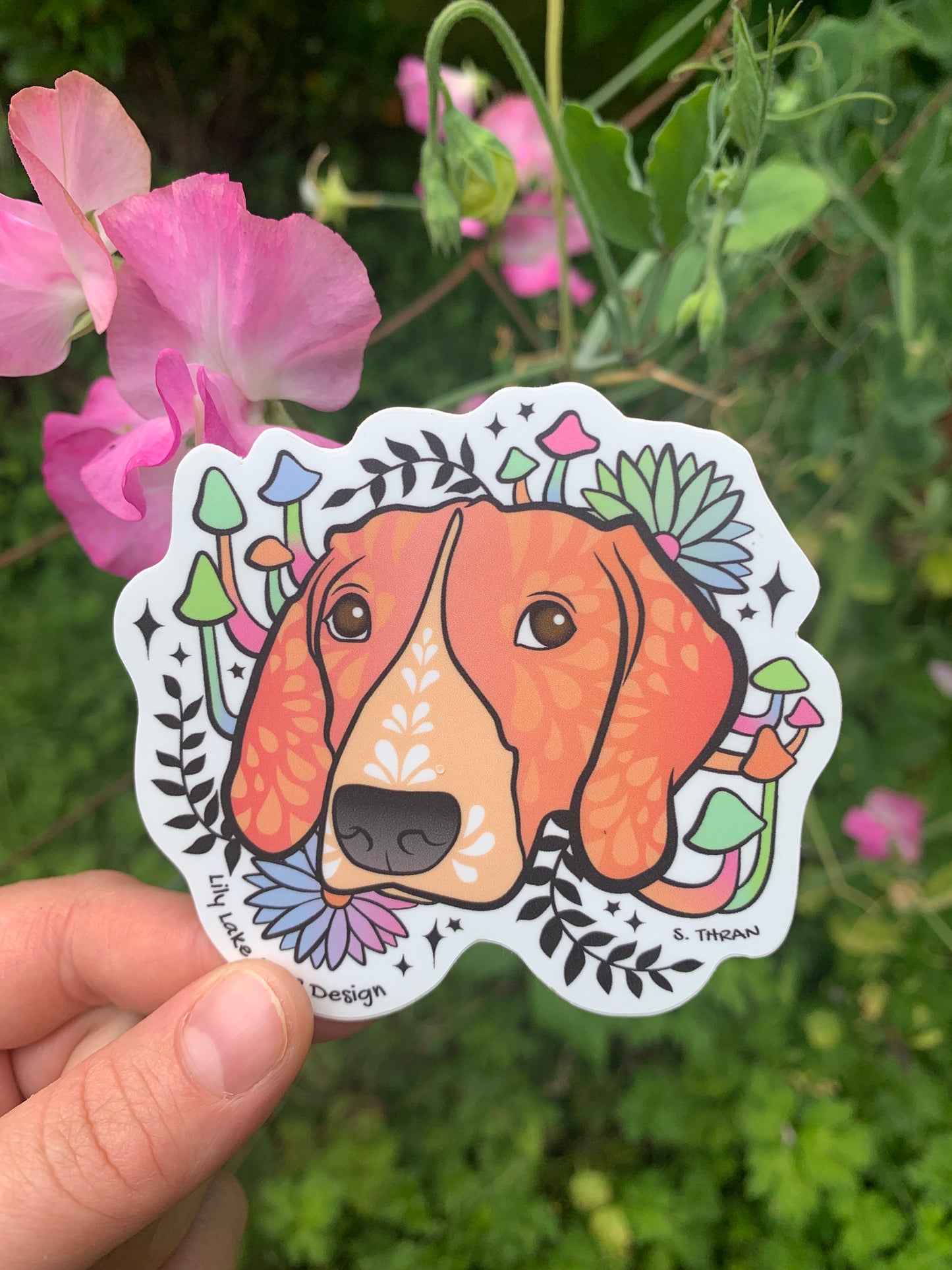 Bailey- Hound Dog Sticker