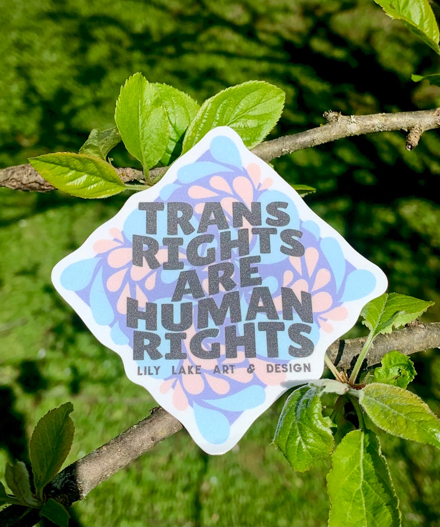 Trans Rights Sticker