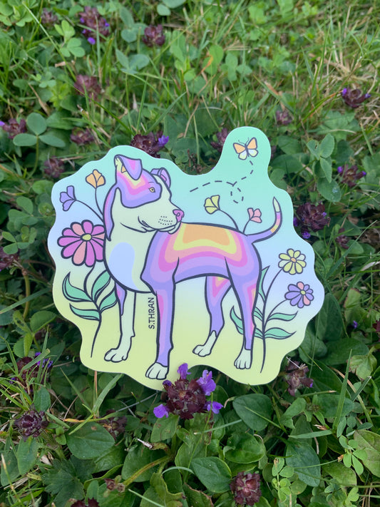 Sky - American Bully Sticker