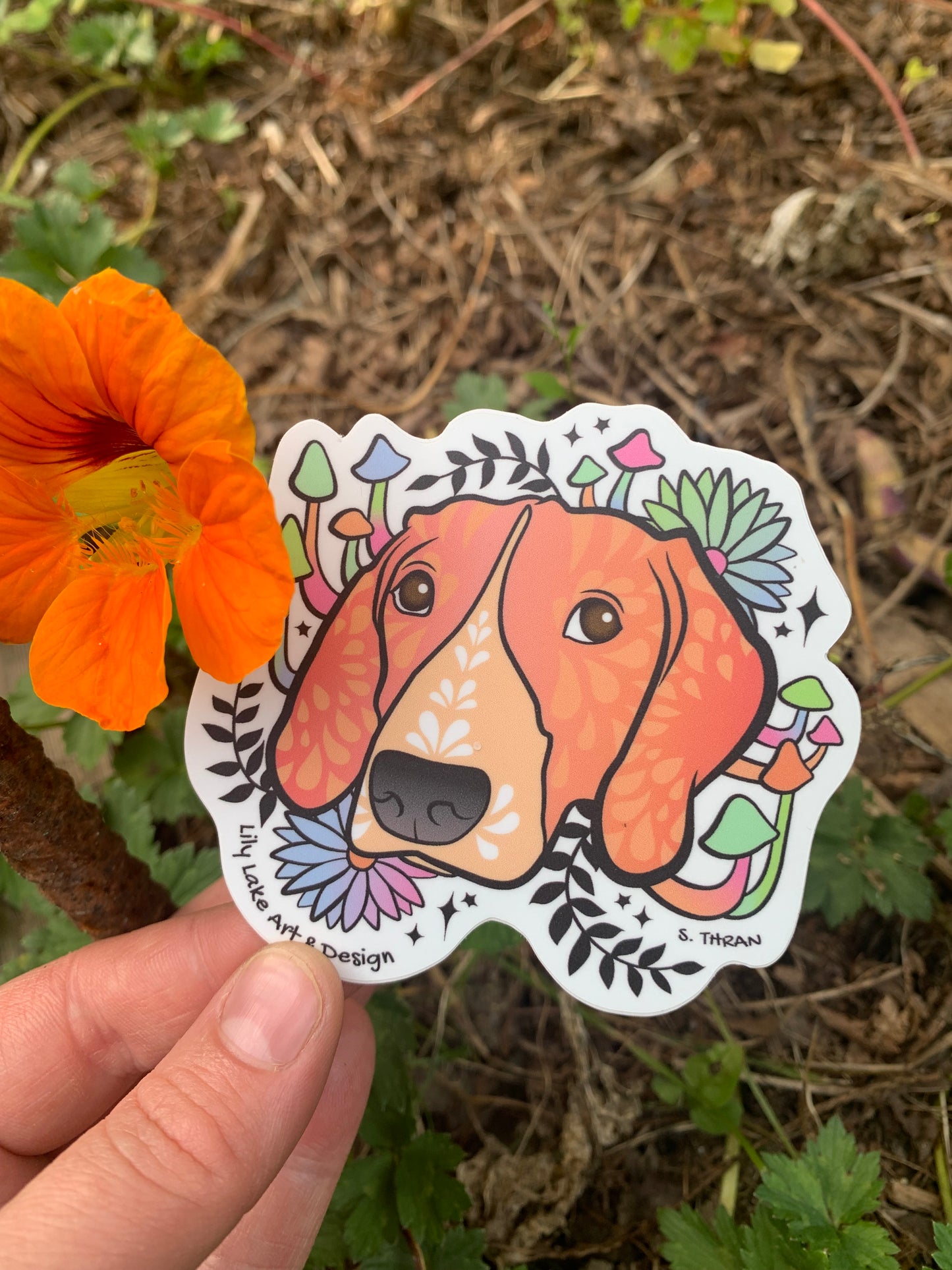 Bailey- Hound Dog Sticker