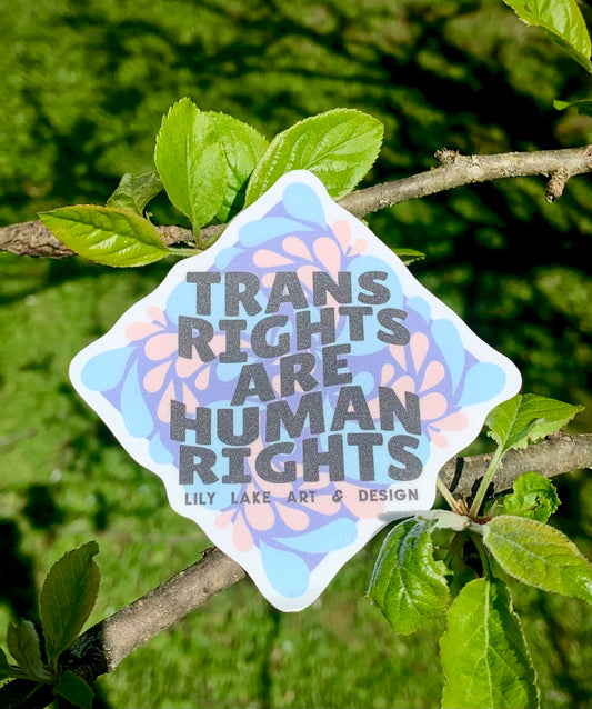 Trans Rights Sticker