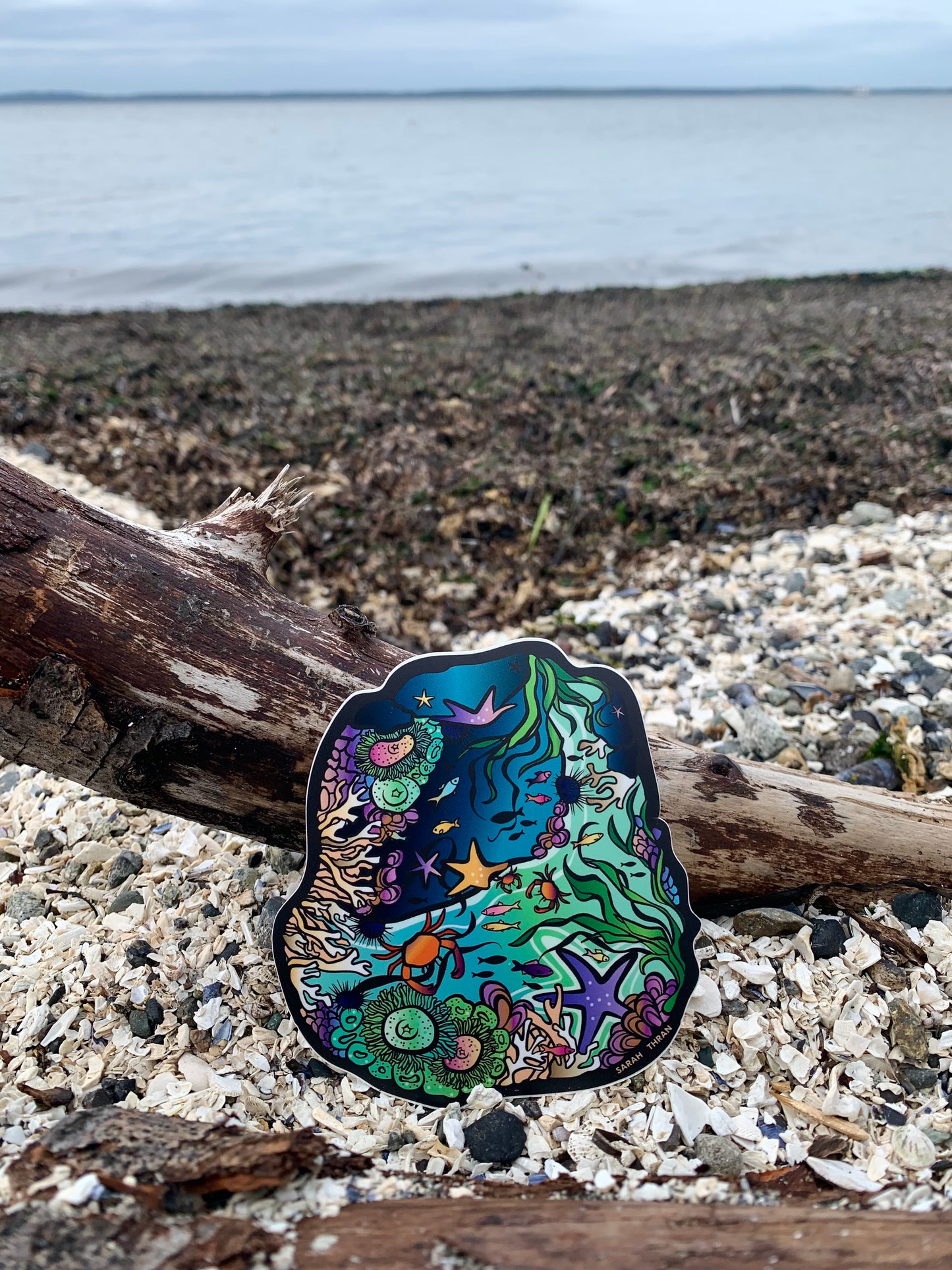 Whimsical Tide Pool Sticker