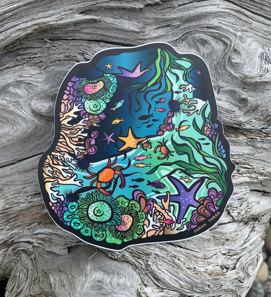 Whimsical Tide Pool Sticker